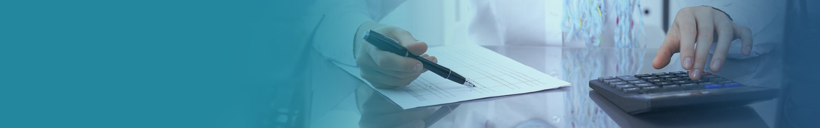 Business & Financial Consulting services